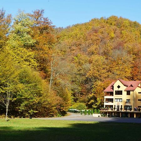 Pensiunea Magura Baia Mare Exterior photo